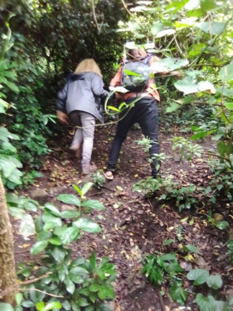 Hiking Trails and Facts about Nyungwe National Park