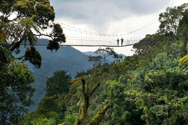 1 Day Trip To Nyungwe National Park