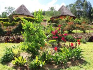 Stunning Lodge in Uganda