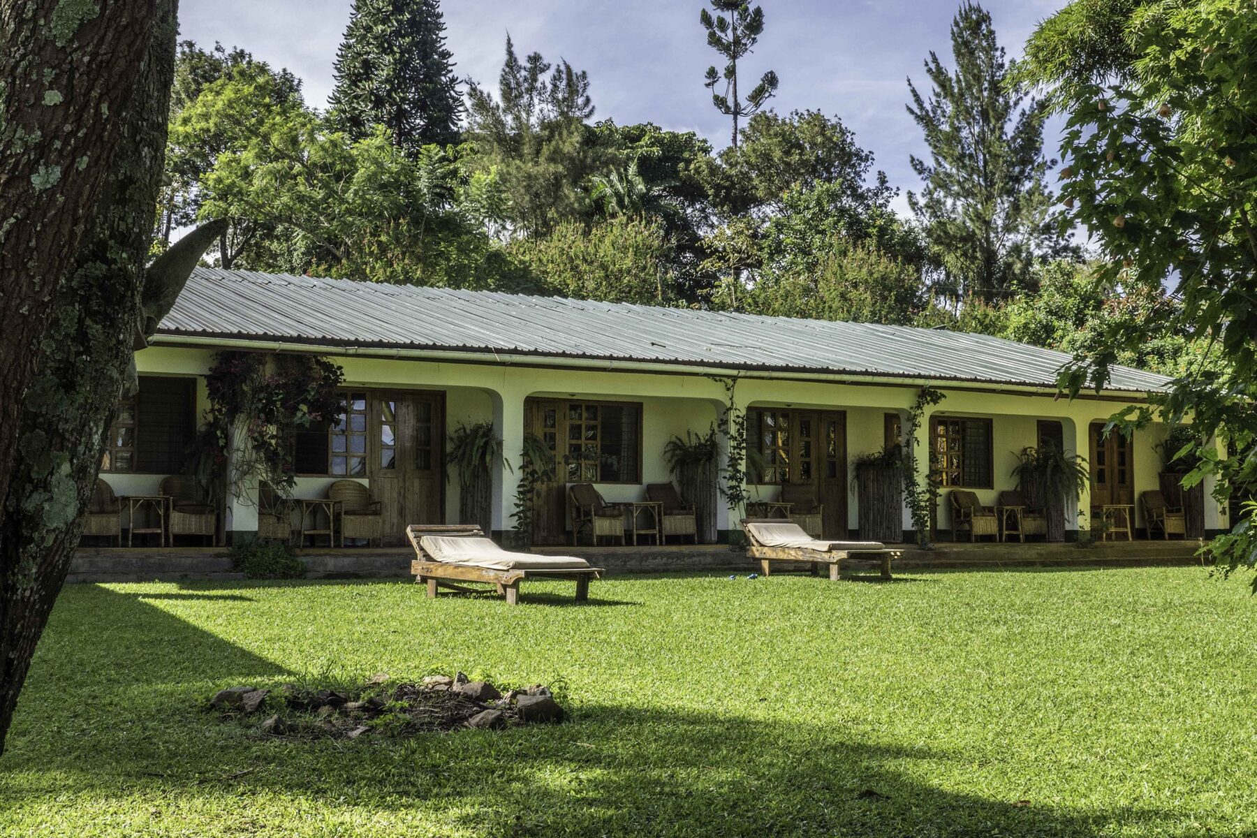 Ruwenzori Guest House