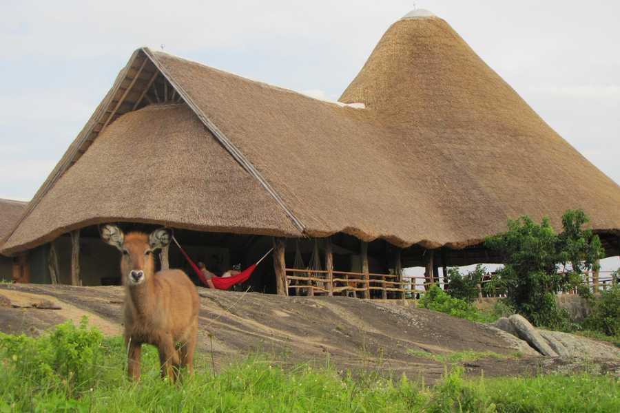 Rwakobo Rock Lodge