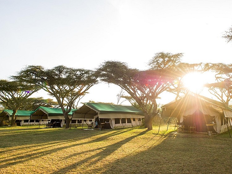 Sanctuary Serengeti Migration Camp
