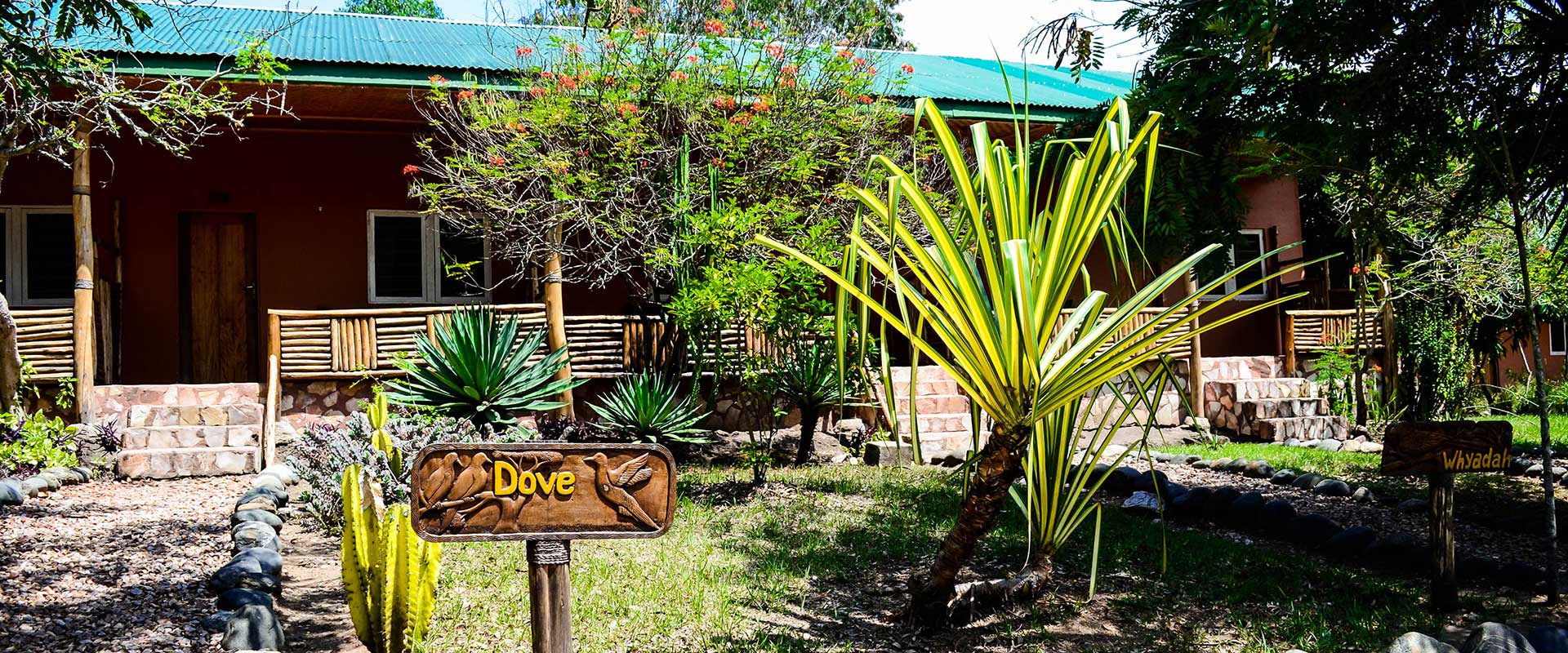 Simba Safari Camp
