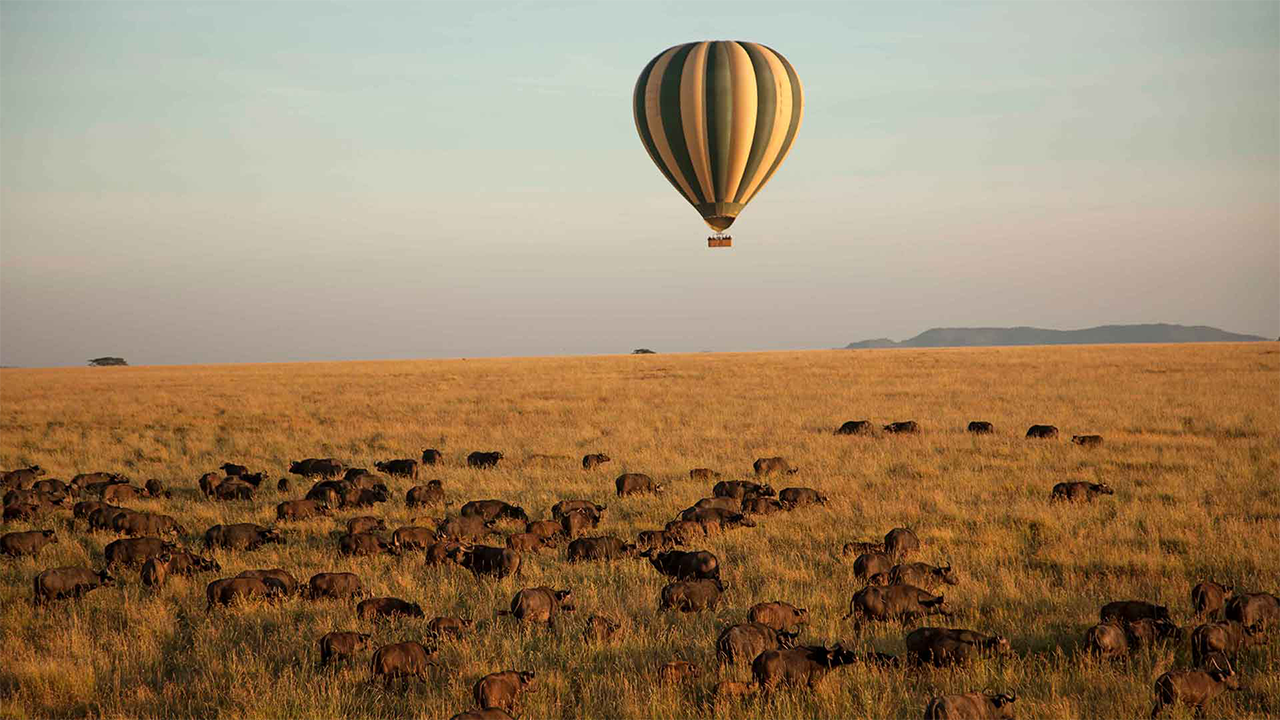 Serengeti-Sky-Safari