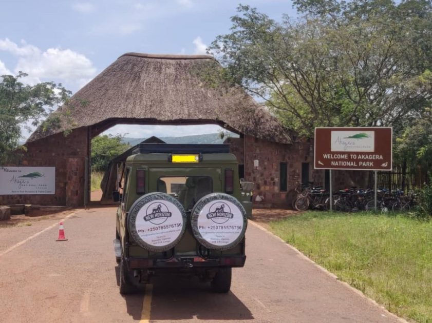 1 Day Akagera National Park Tour