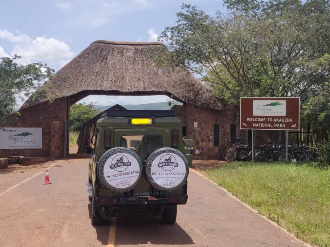1 Day Akagera National Park Tour