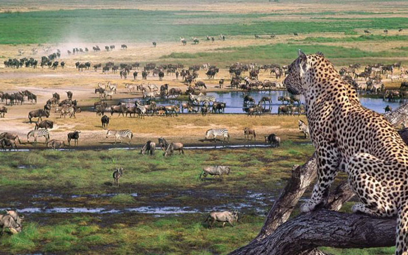 10-Days-Tanzania-Luxury-Safari